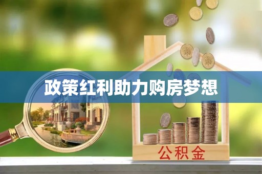 望江政策红利助力购房梦想