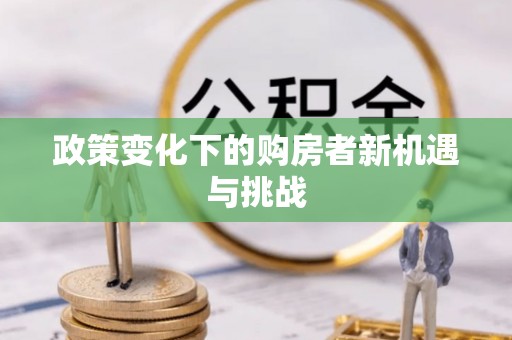 望江政策变化下的购房者新机遇与挑战