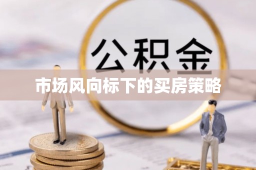 望江市场风向标下的买房策略