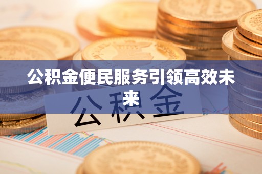 望江公积金便民服务引领高效未来