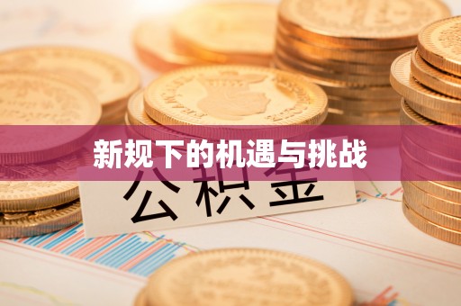 望江新规下的机遇与挑战