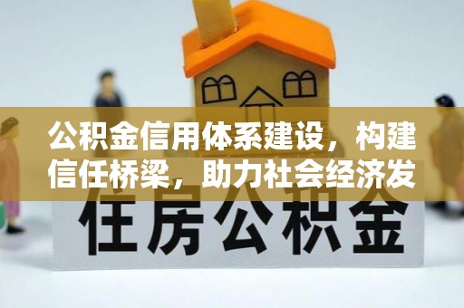 望江公积金信用体系建设，构建信任桥梁，助力社会经济发展