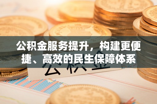 望江公积金服务提升，构建更便捷、高效的民生保障体系