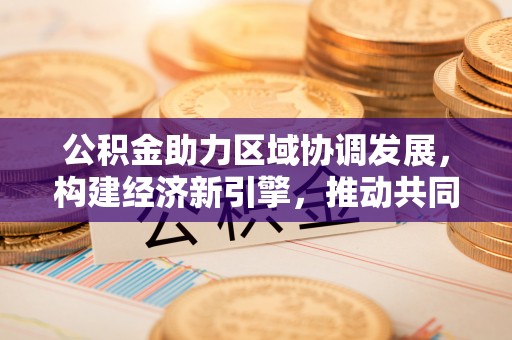 望江公积金助力区域协调发展，构建经济新引擎，推动共同富裕