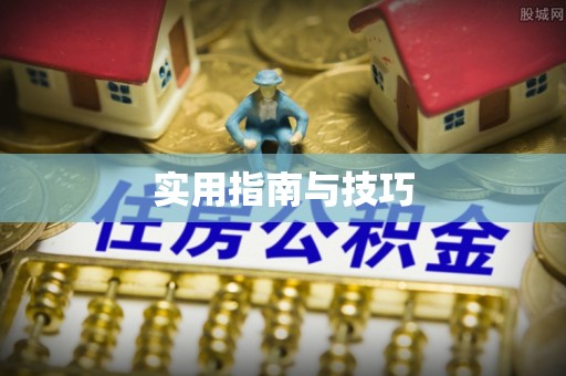 望江实用指南与技巧