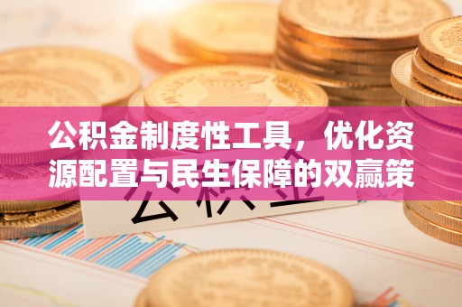 望江公积金制度性工具，优化资源配置与民生保障的双赢策略