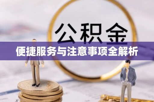 望江便捷服务与注意事项全解析