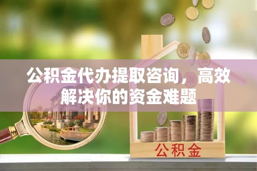望江公积金代办提取咨询，高效解决你的资金难题