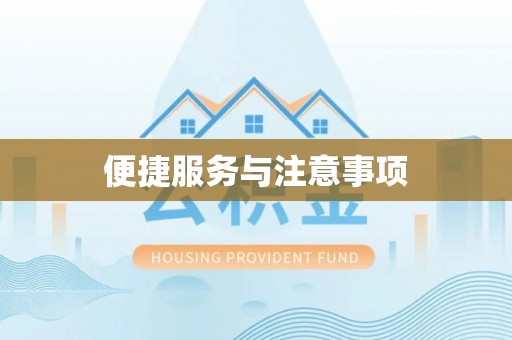 望江便捷服务与注意事项