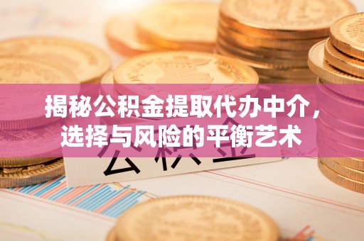望江揭秘公积金提取代办中介，选择与风险的平衡艺术