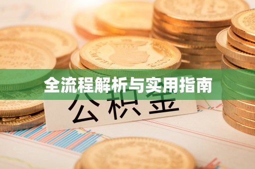 望江全流程解析与实用指南