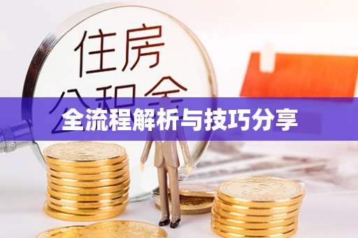 望江全流程解析与技巧分享