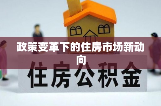望江政策变革下的住房市场新动向