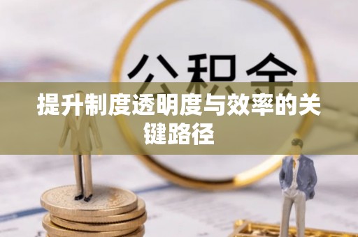 望江提升制度透明度与效率的关键路径