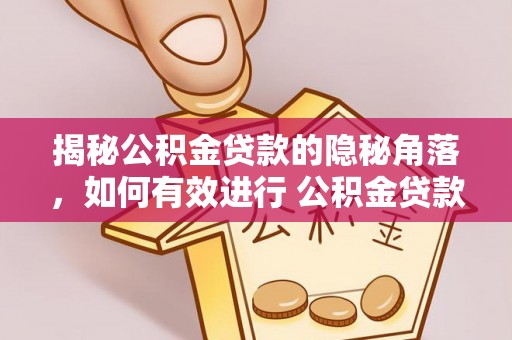 望江揭秘公积金贷款的隐秘角落，如何有效进行 公积金贷款风险防控