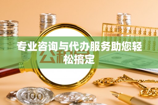 望江专业咨询与代办服务助您轻松搞定