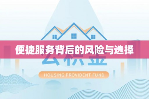 望江便捷服务背后的风险与选择