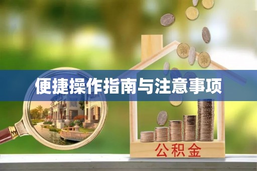 望江便捷操作指南与注意事项
