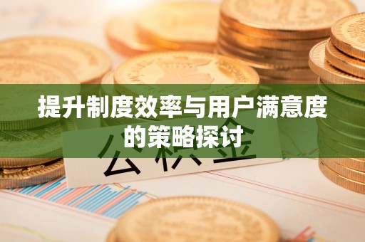 望江提升制度效率与用户满意度的策略探讨